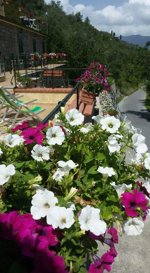 B&B Le Colline Di Bana Camogli Bagian luar foto