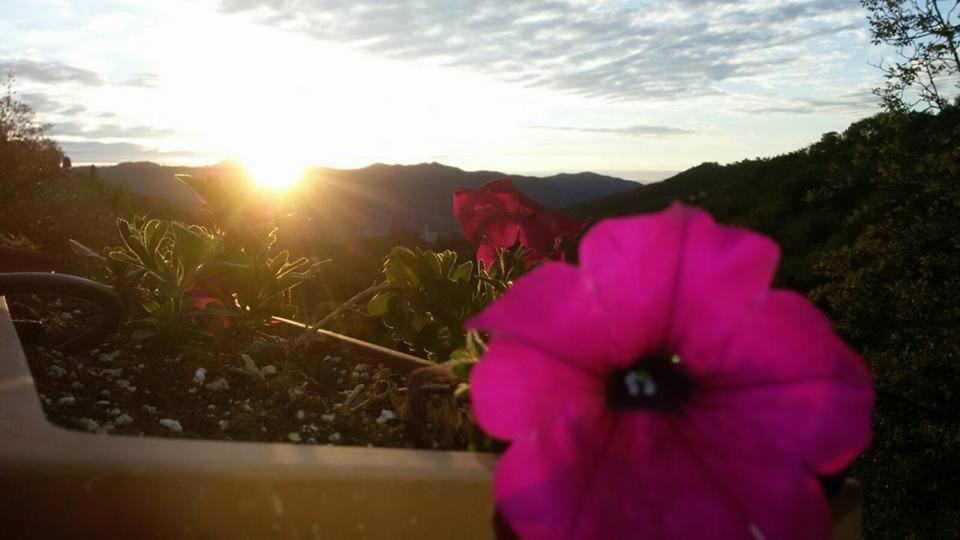 B&B Le Colline Di Bana Camogli Bagian luar foto